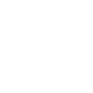 Groupe Protector : solutions de sécurité surveillance audit et conseils