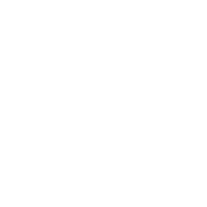 Groupe Protector : solutions de sécurité surveillance électronique