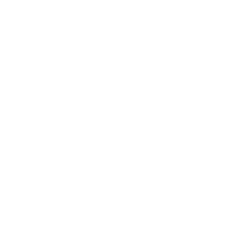 Groupe Protector : solutions de sécurité surveillance électronique